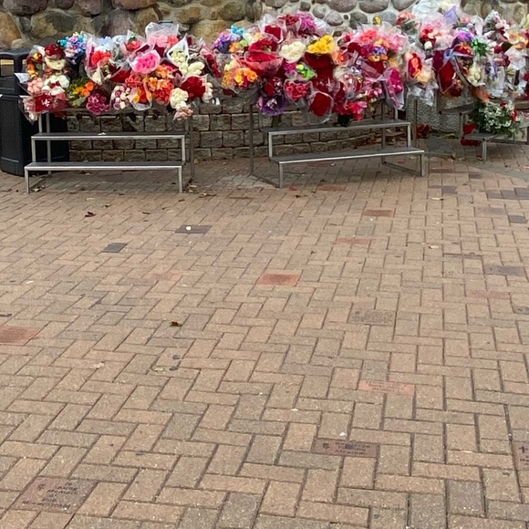 Meet your Posher, Sari - Picture 1 of 1